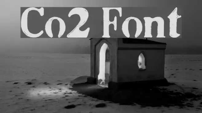 Co2 Font examples
