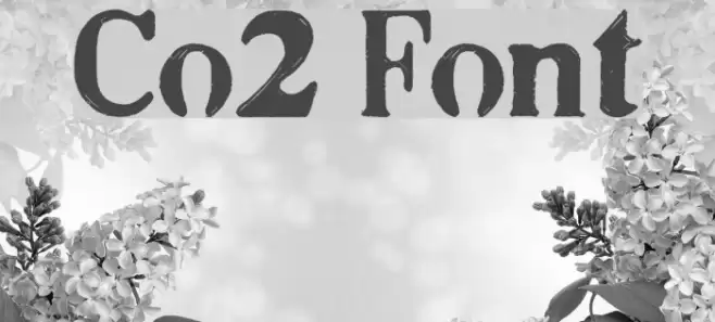 Co2 Font examples