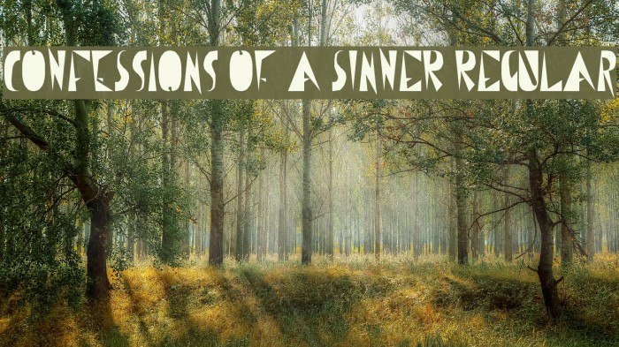 CoNfEsSiOnS oF a sInNeR Regular Example 2