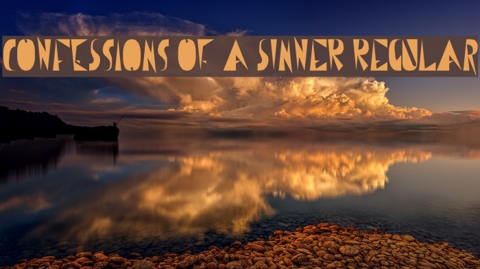 CoNfEsSiOnS oF a sInNeR Regular Example 3