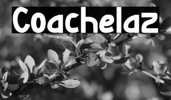 Coachelaz خط examples