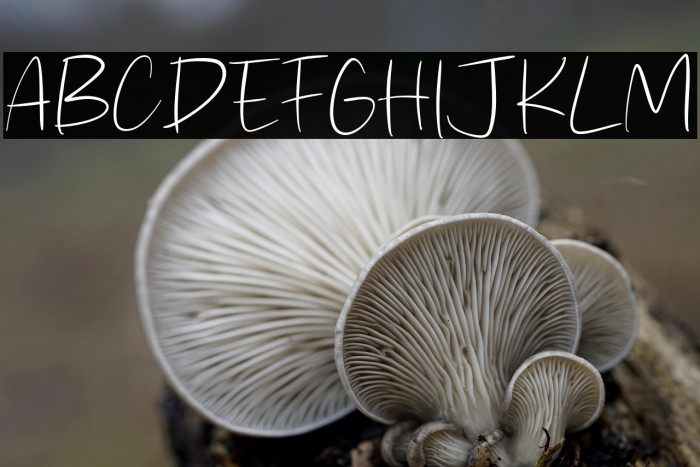 Coal Straight Example 2