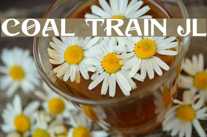 Coal Train JL Font examples