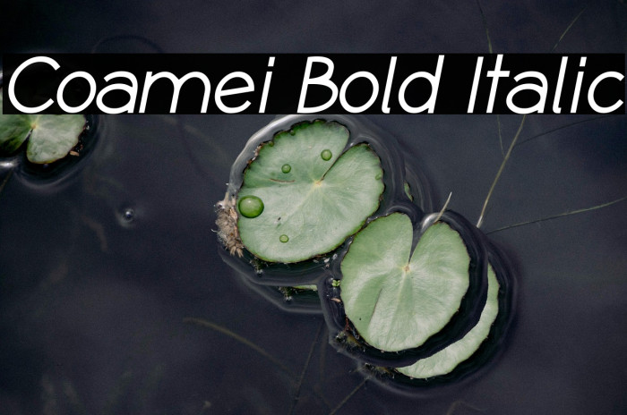 Coamei Bold Italic Example 1