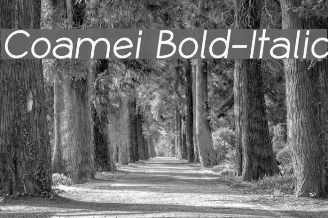 Coamei Bold-Italic Font examples