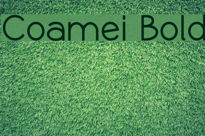 Coamei Bold Example 1