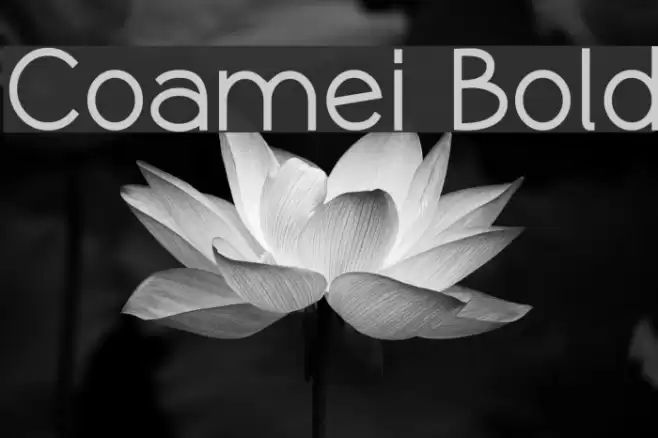 Coamei Bold Font examples