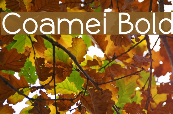 Coamei Bold Example 3