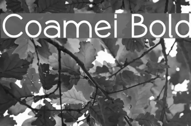 Coamei Bold Font examples