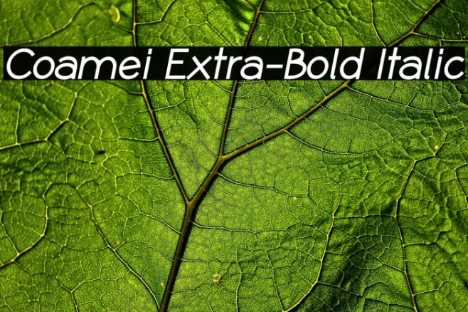 Coamei Extra-Bold Italic Example 3