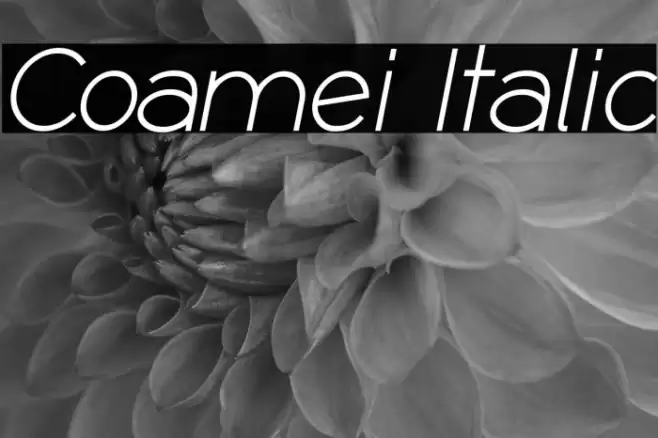 Coamei Italic Font examples