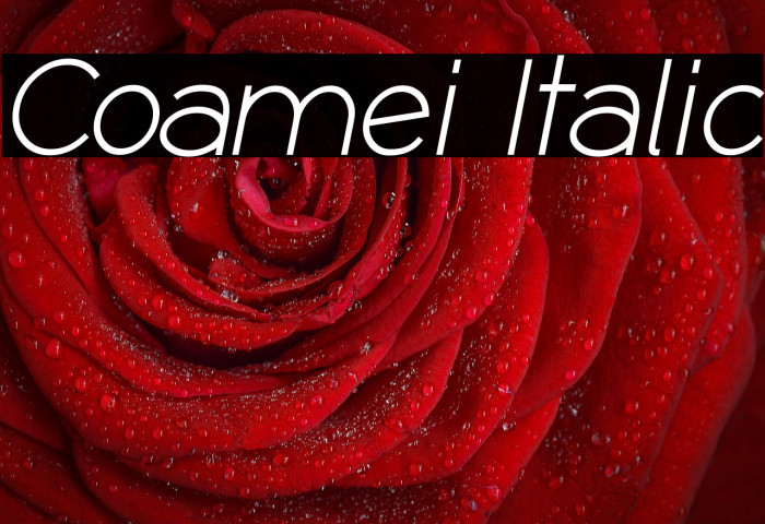 Coamei Italic Example 3