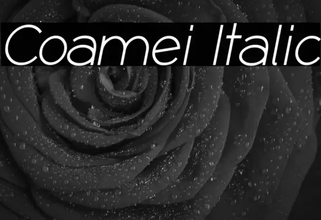 Coamei Italic Font examples