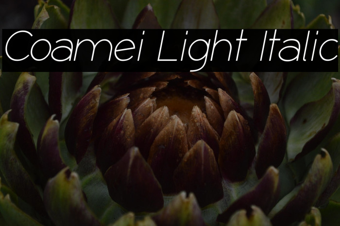 Coamei Light Italic Example 1