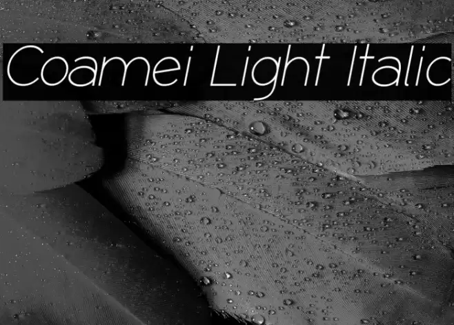 Coamei Light Italic Font examples