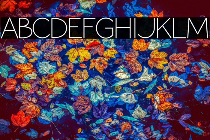 Coamei Light Example 1