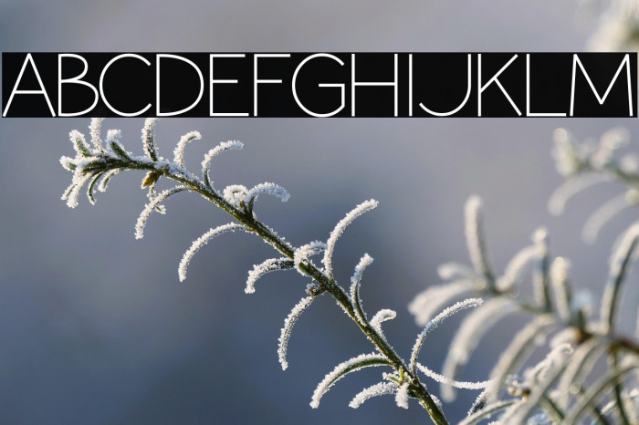 Coamei Light Example 3