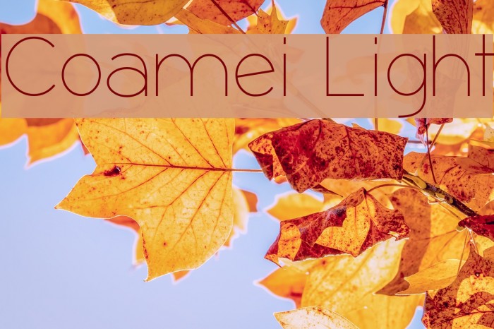 Coamei Light Font examples