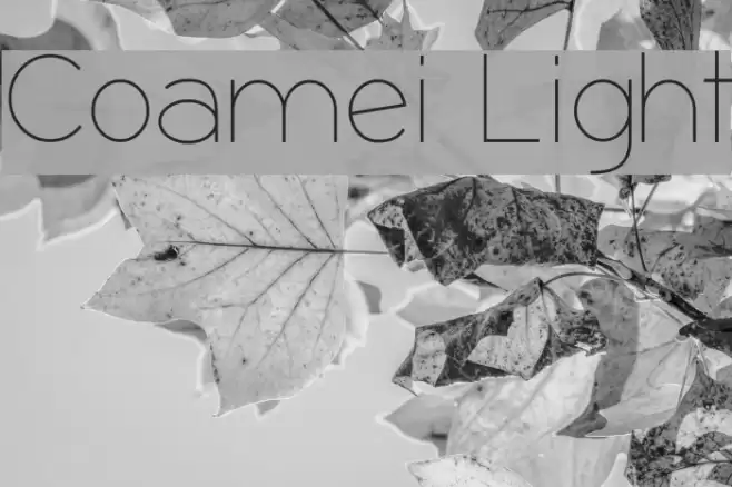 Coamei Light Шрифта examples