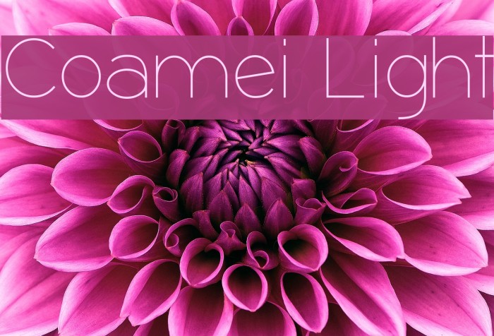 Coamei Light Font examples