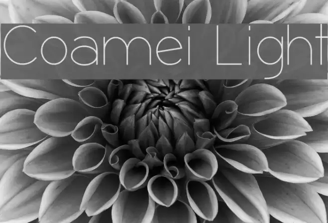Coamei Light Шрифта examples
