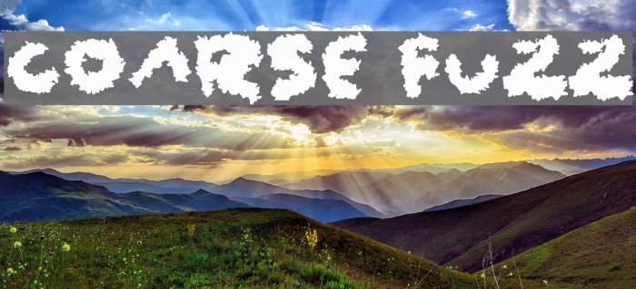 Coarse Fuzz Font examples