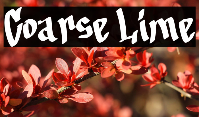 Coarse Lime Example 1