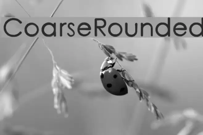 CoarseRounded Font examples