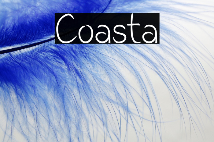 Coasta Example 2