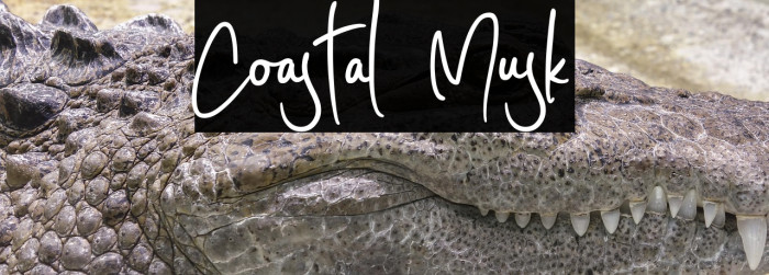 Coastal Musk Example 1