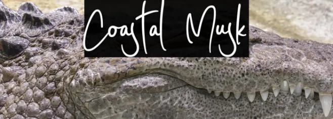 Coastal Musk Example 1