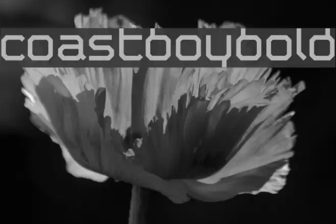 Coastboybold Font examples
