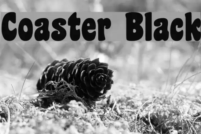 Coaster Black Font examples