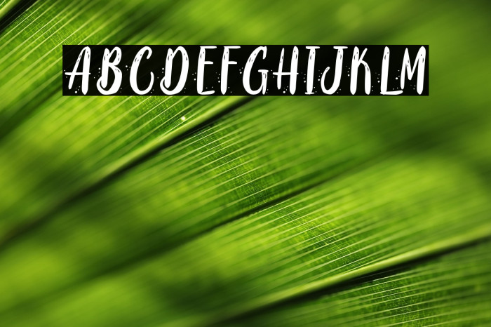 Coaster Quake - Personal Use Example 1