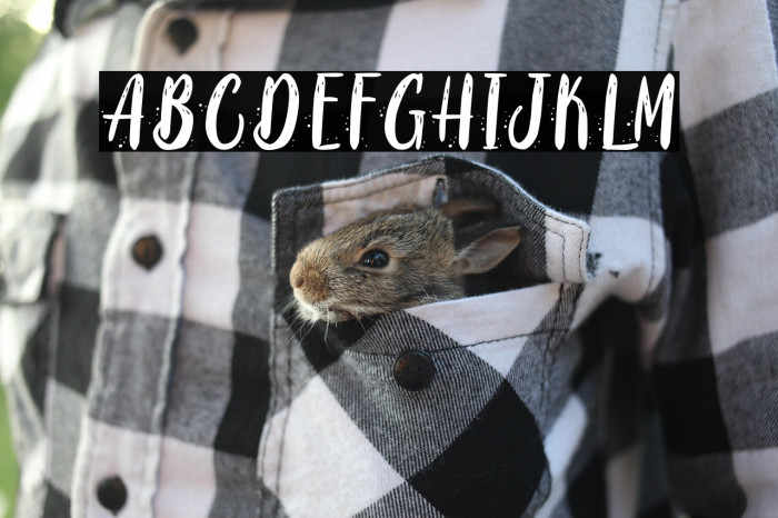 Coaster Quake - Personal Use Example 3