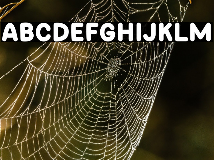 Coaster Rible Example 2