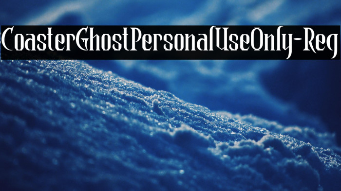 CoasterGhostPersonalUseOnly-Reg Example 1