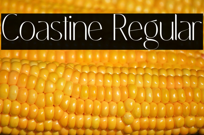 Coastine Regular Example 1