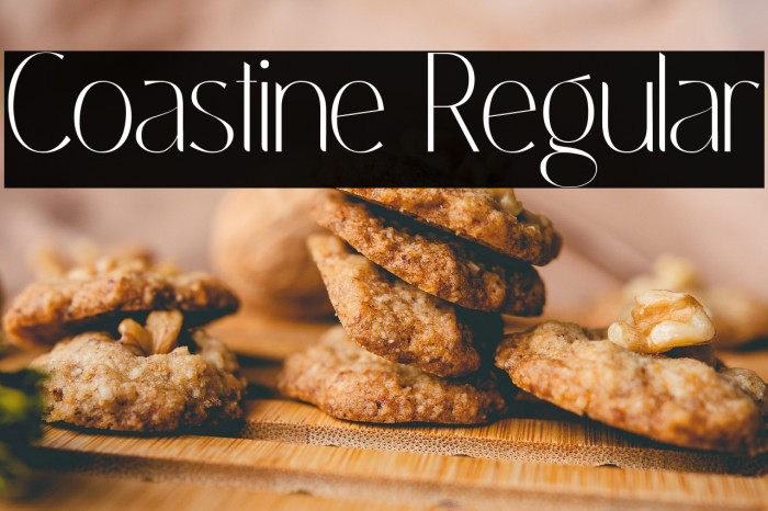 Coastine Regular Example 2