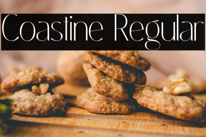 Coastine Regular Example 2