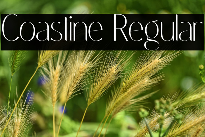 Coastine Regular Example 3