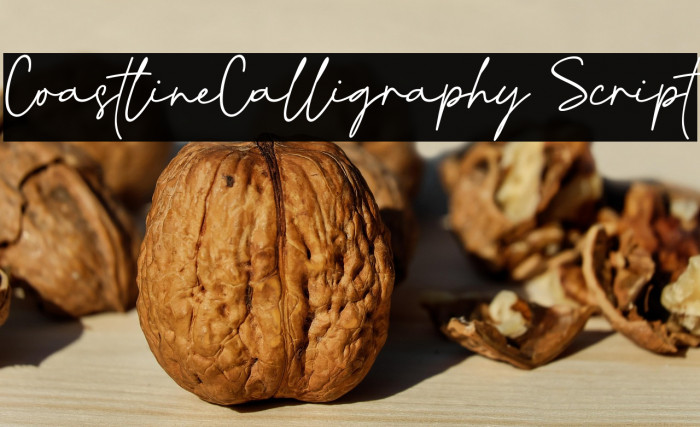 CoastlineCalligraphy Script フォント examples