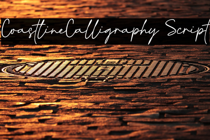CoastlineCalligraphy Script フォント examples