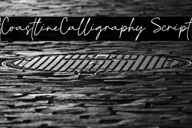 CoastlineCalligraphy Script Font examples
