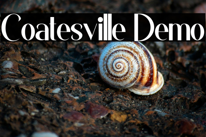 Coatesville Demo Example 1