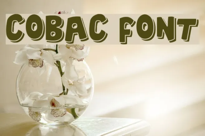 Cobac Example 2