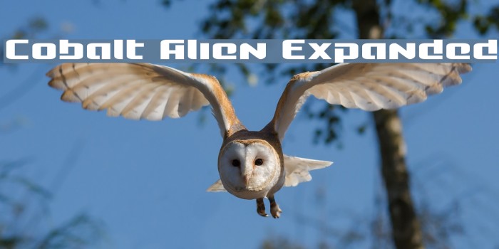 Cobalt Alien Expanded Example 2