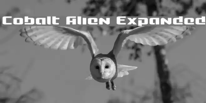 Cobalt Alien Expanded Font examples