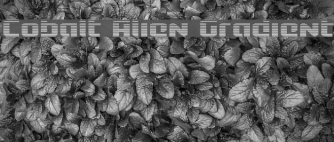Cobalt Alien Gradient Font examples
