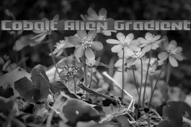 Cobalt Alien Gradient Font examples